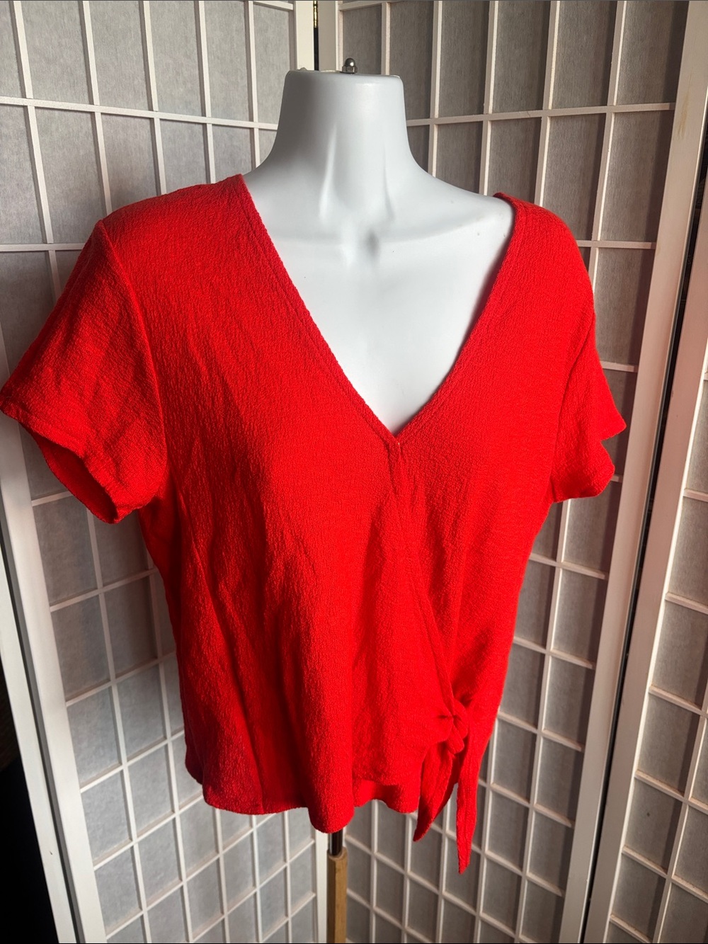 NWT Madewell Red V-Neck Tie-Hem Blouse